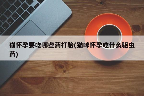 打胎药联系方式猫怀孕要吃哪些药打胎(猫咪怀孕吃什么驱虫药)