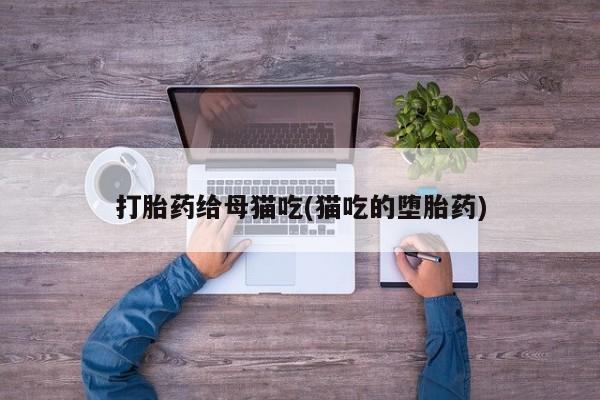 打胎药联系方式打胎药给母猫吃(猫吃的堕胎药)